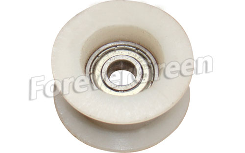 BG037 Chain Guide Roller